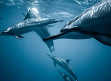 开云-开云：开启云端的新纪元